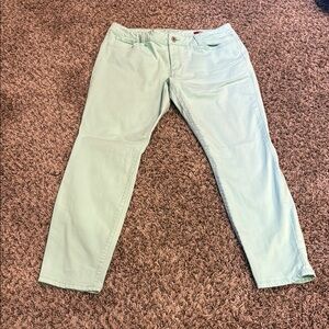 Women’s Arizona skinny jeggings. Size 15
